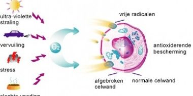 antioxidanten-en-vrije-radicalen-380×204
